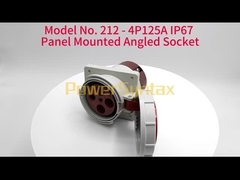 125A à forte intensité type industriel poids d'inclination de prise de 3 phases de 975G